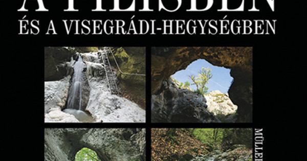 Négy évszak a Pilisben és a Visegrádi-hegységben
