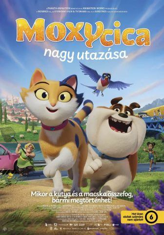 Moxy cica nagy utazása