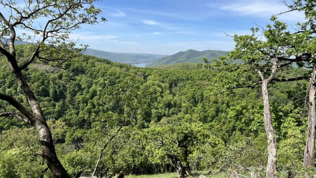 Hangoló túra az Apátkúti-völgyben